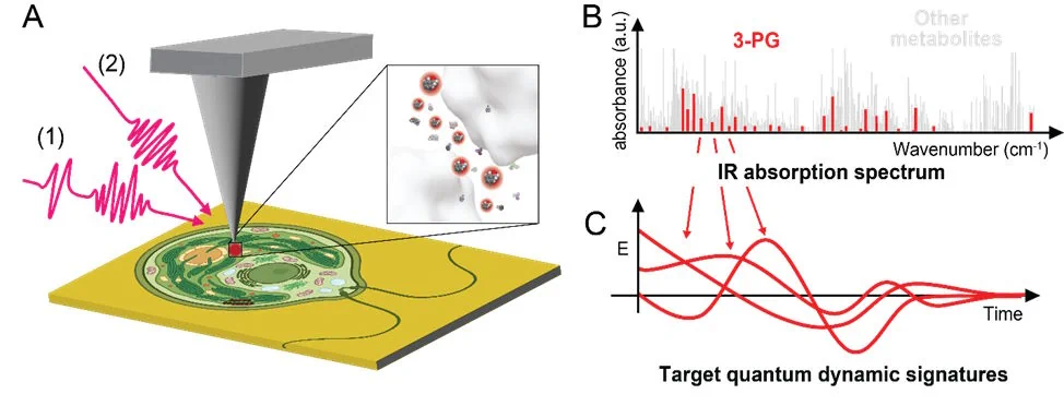 Nanoscale imaging and spectroscopy